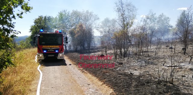 Einsatz 03.08.2022 Flächenbrand groß Oberemmel_Wiltingen_Kommlingen (4)
